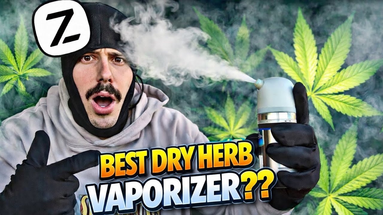 THIS IS A HOTBOX MACHINE&hellip;👀| Fluora dry herb Vaporizer by Zoora