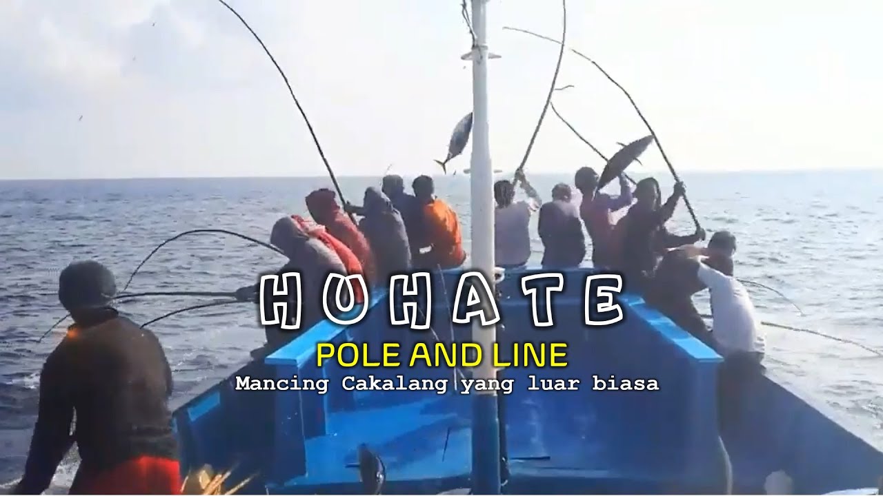 Mancing Cakalang yang luar biasa  - Kapal Penangkap ikan Huhate/Pole and Line