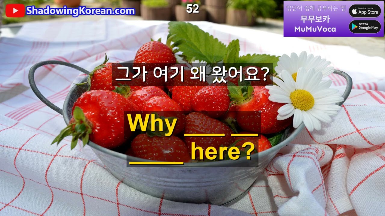 외국에서 꼭 필요한 영어 문장들입니다. 30분만 투자해 보세요 | 2026년 30분 공부 시리즈 #75