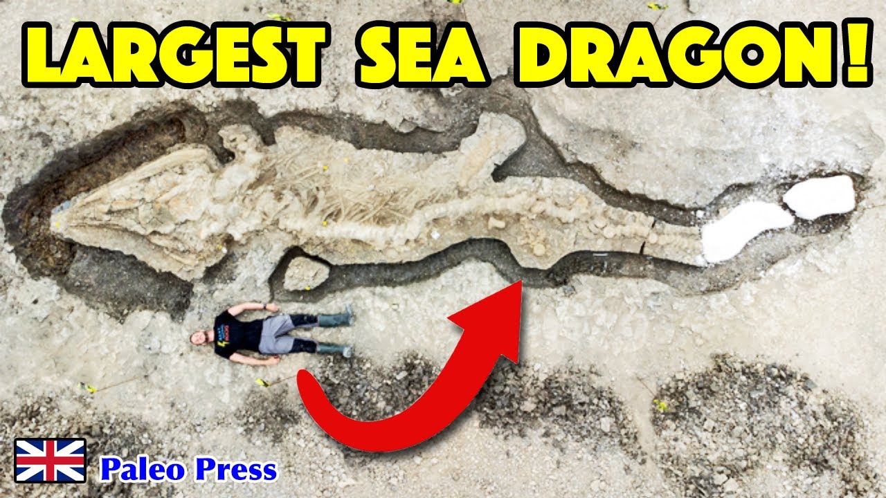 Britain's LARGEST Ichthyosaur Fossil EVER Discovered! A Rutland Sea Dragon That Swam Among Dinosaurs