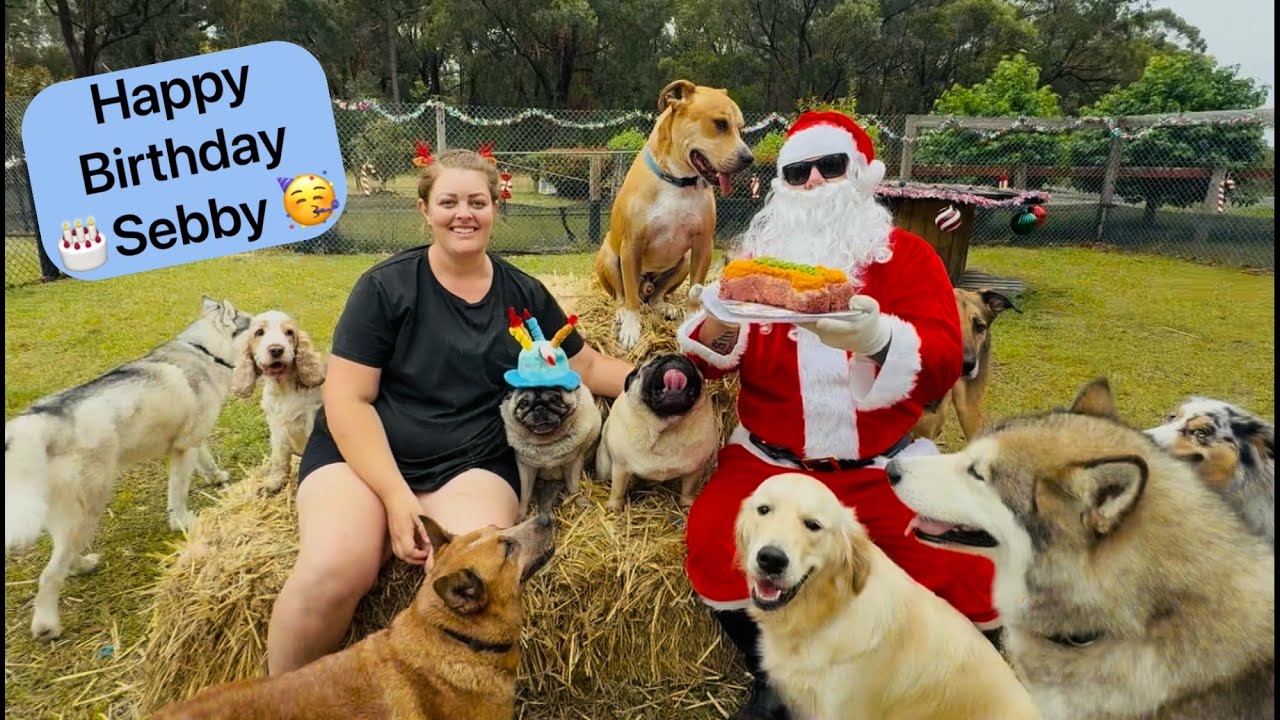 Last Week Christmas🎄Party🥳🐕- Tuesday!