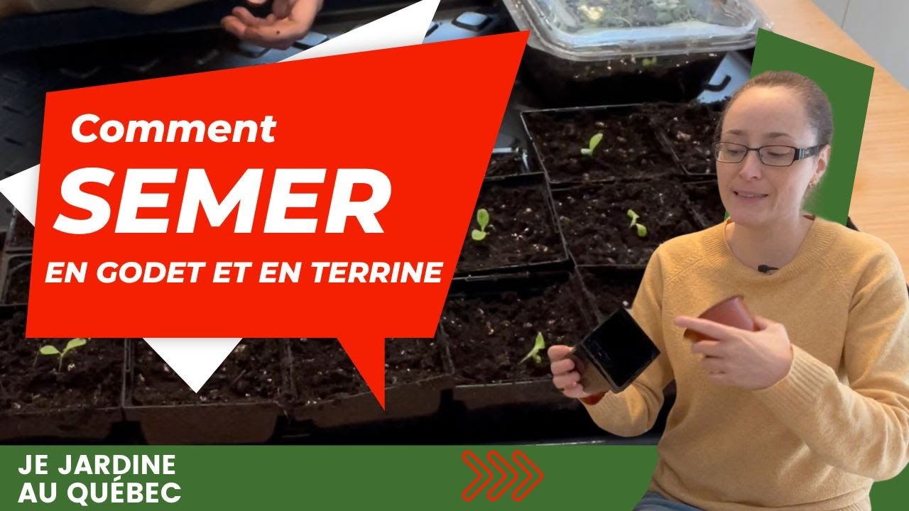 Comment réussir ses semis: en terrine et en godet