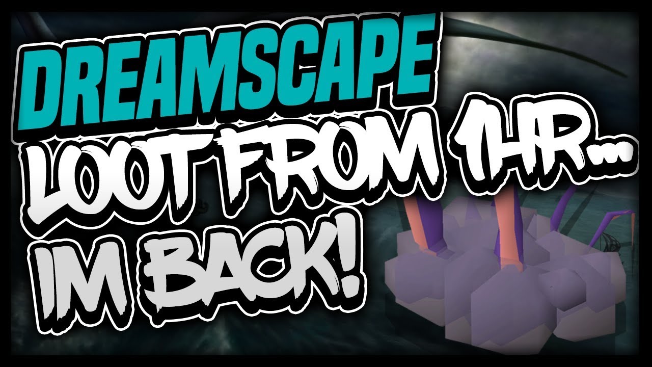 Loot from 1 Hour of Killing Chaos Ele & Shadow Kings | INSANE LUCK | Dreamscape RSPS