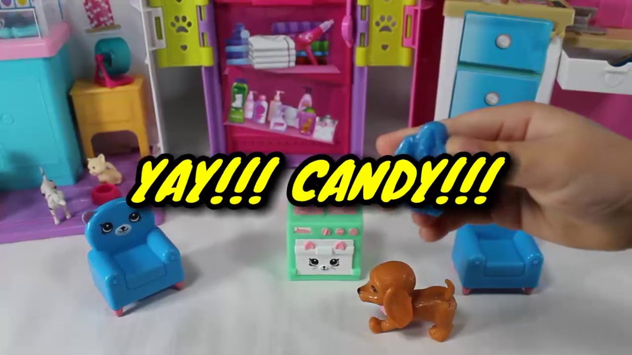 Puppy Candy Surprise