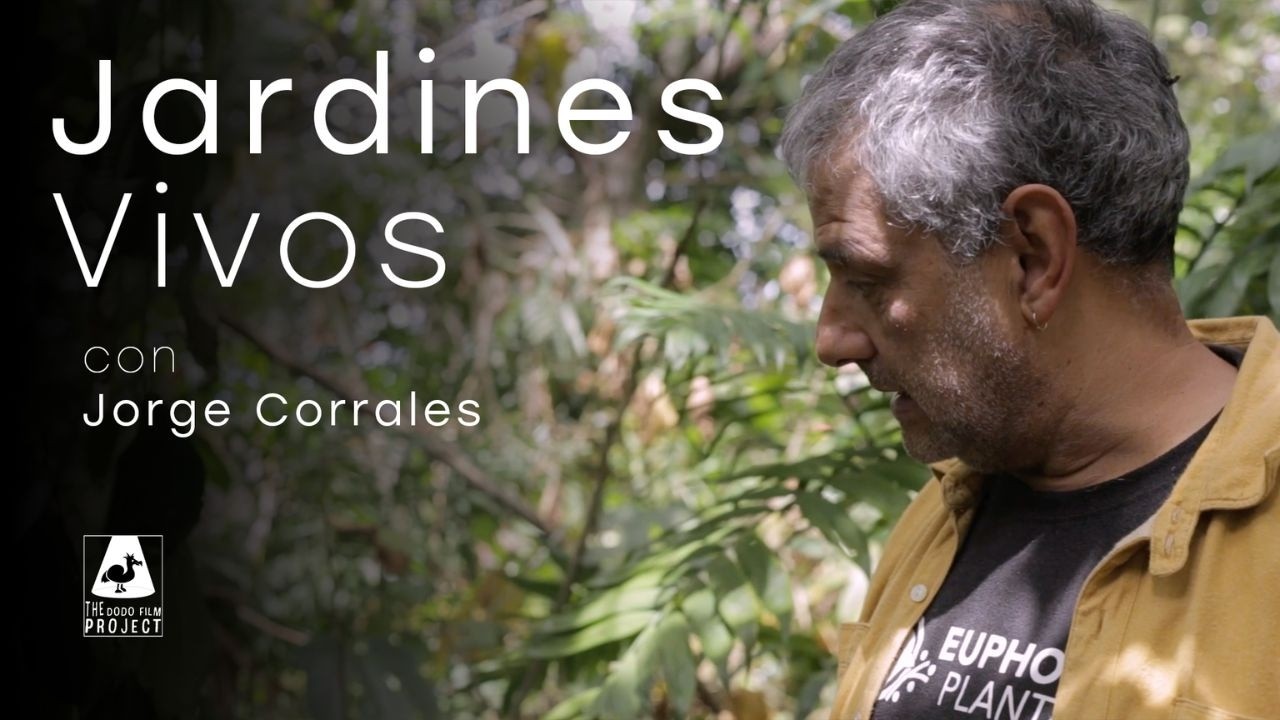 Jardines Vivos: Transforming Green Spaces into Nature's Allies