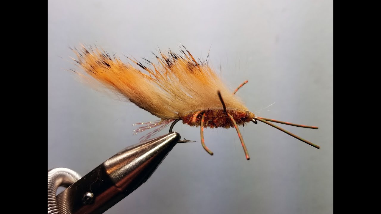 Zirdle Bug | Yellowstone Country Fly Fishing