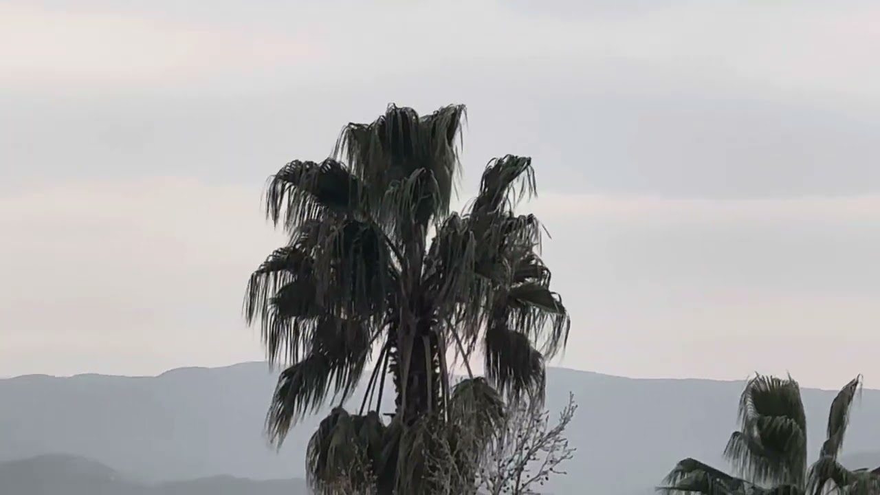 SOLOTÜRK KOCAELİ PROVA