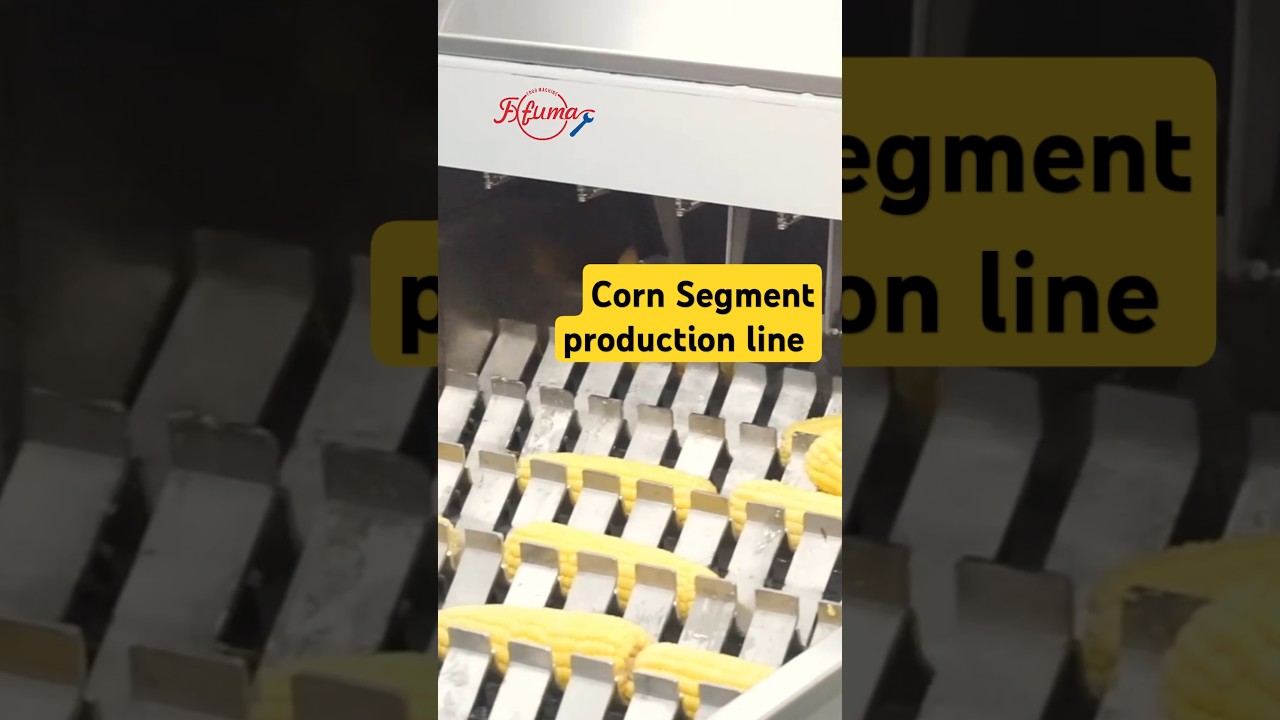 Corn Segment Production Line #corn