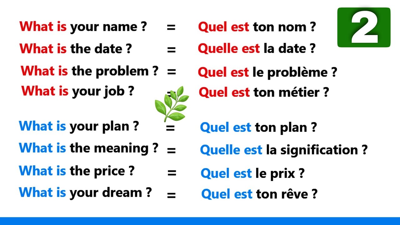Anglais facile avec iliass |phrases simples  | partie 2 |✪✪easy sentences to learn french 🌿