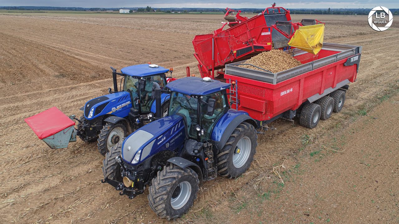 🥔 Récolte de pommes de terre | Team NEW HOLLAND | GRIMME