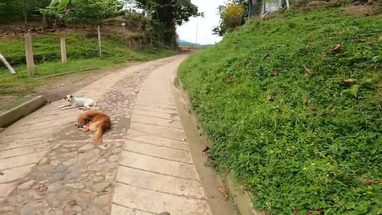 Ruta del Cacao 2023, MTB.