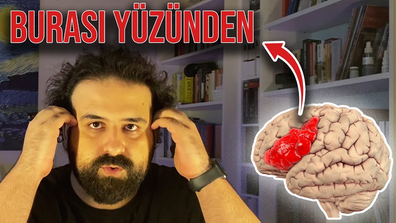 Anlıyorum ama konuşamıyorum (nörobiyolojik perspektiften anlatıyorum)