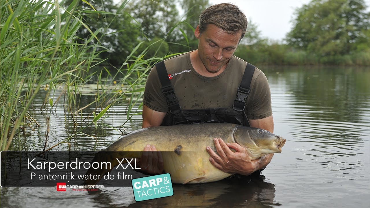 De Karperdroom XXL de film! Karpervissen in Nederland op een klein, maar rustig gelegen viswater!