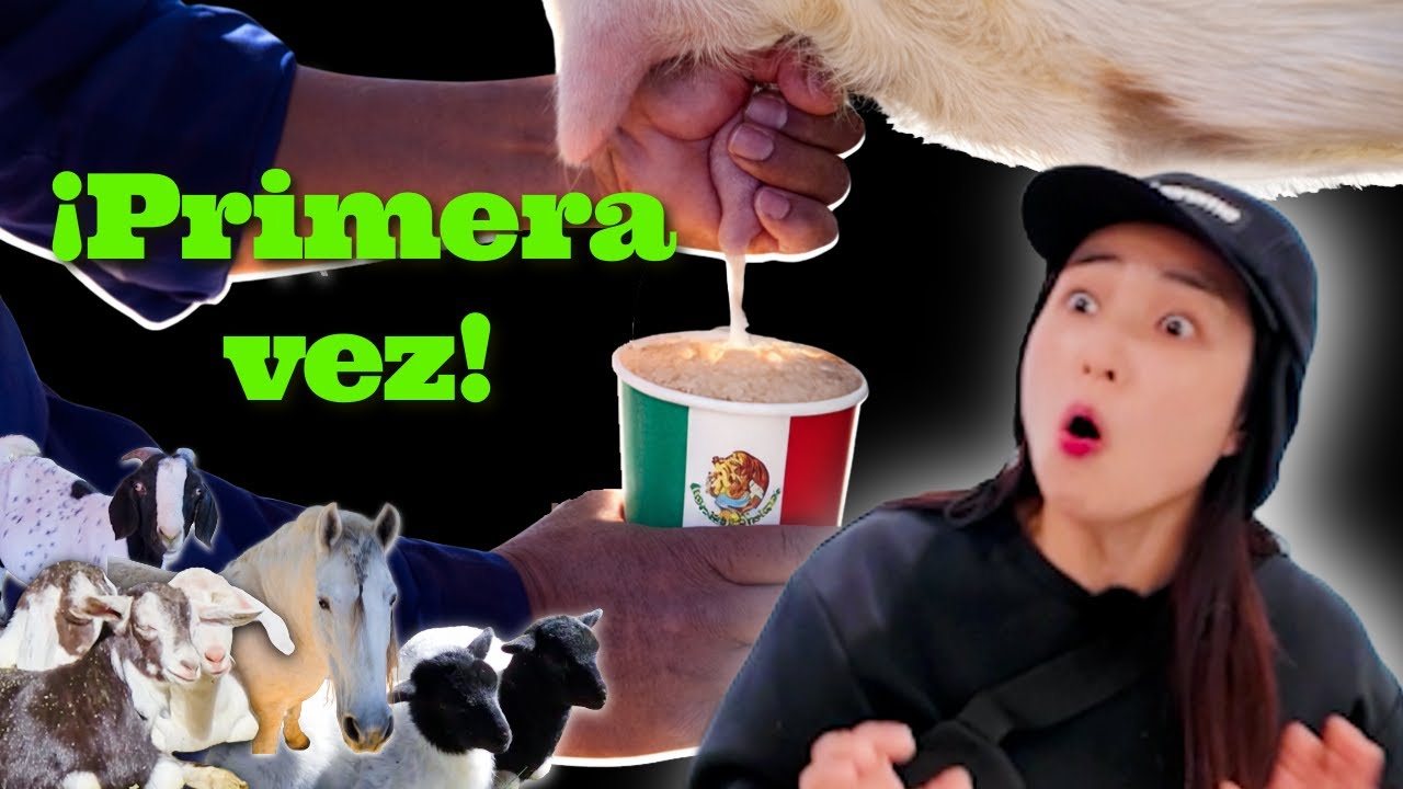 Первый раз в мексиканском доме в Калифорнии / Primera vez en una casa mexicana