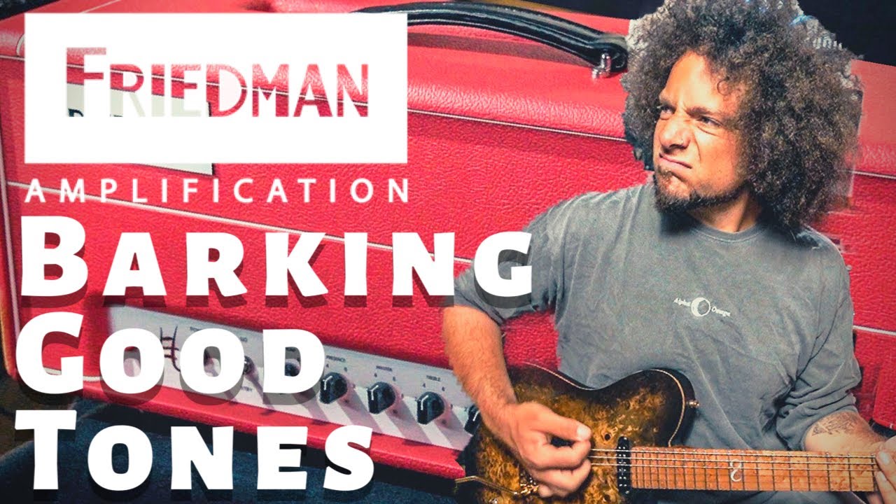 Усилитель Friedman Jake E Lee Signature | Звучит ПОТРЯСАЮЩЕ!!!