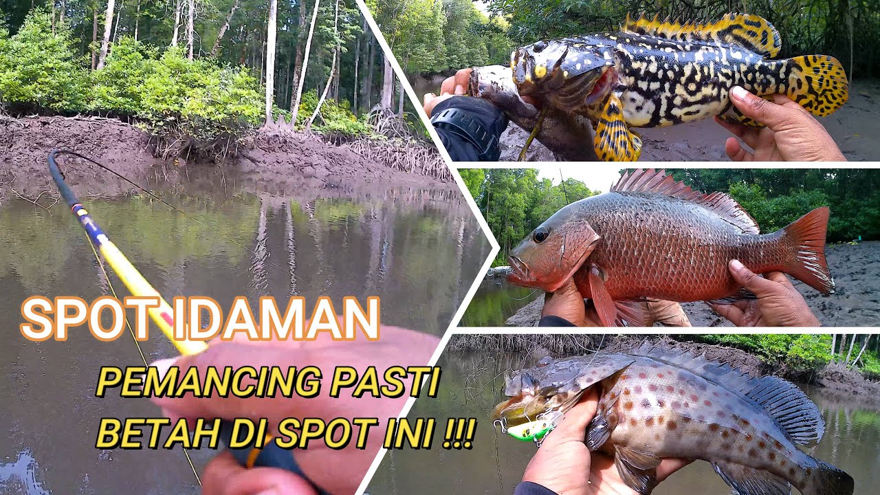 Muara Sempit ini ternyata sarang ikan predator || Ultralight Casting