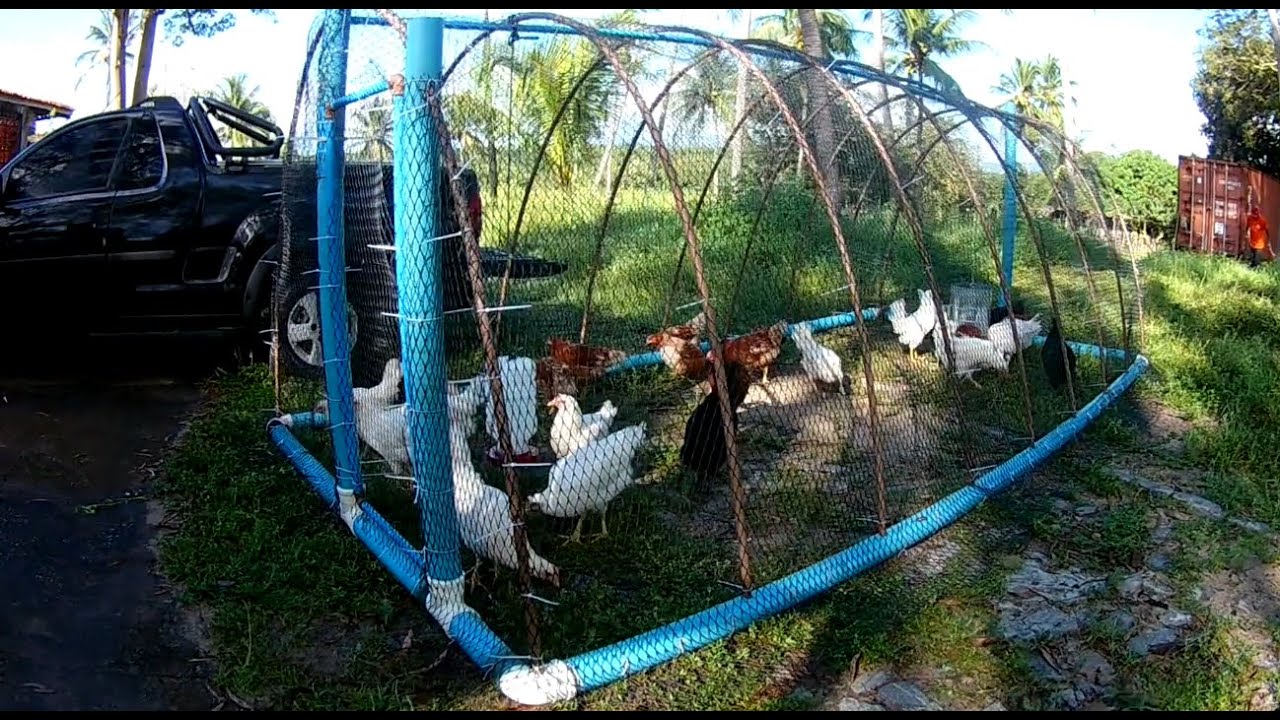 COMO FAZER UM GALINHEIRO DE CANO PVC E TELA, SIMPLES E FÁCIL