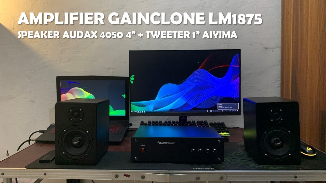 DIY Hifi Bookshelf Speakers & Gainclone LM1875 Amplifier (Part 1)