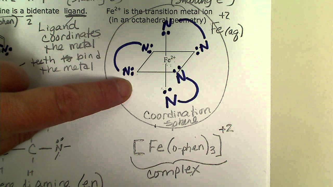 Coordination Chemistry - Transition Metal (Ion) Complexes