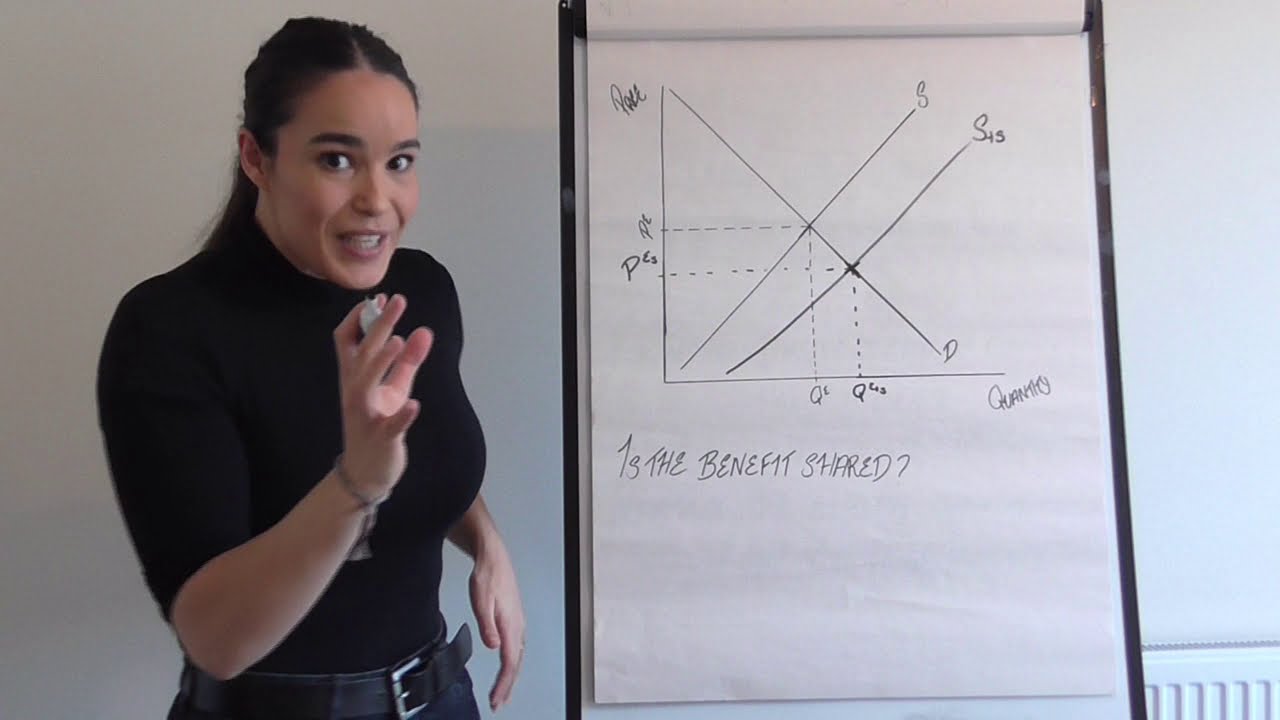 Subsidies: Diagram and Theory