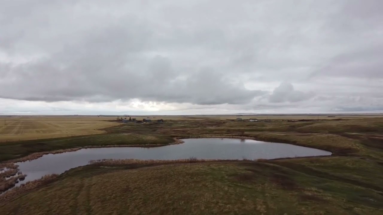 DJI Mavic Mini drone crashes into water by accident.