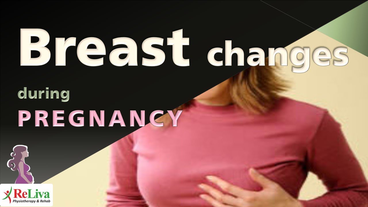 Breast Changes during Pregnancy | Trimester by Trimester | Antenatal Care