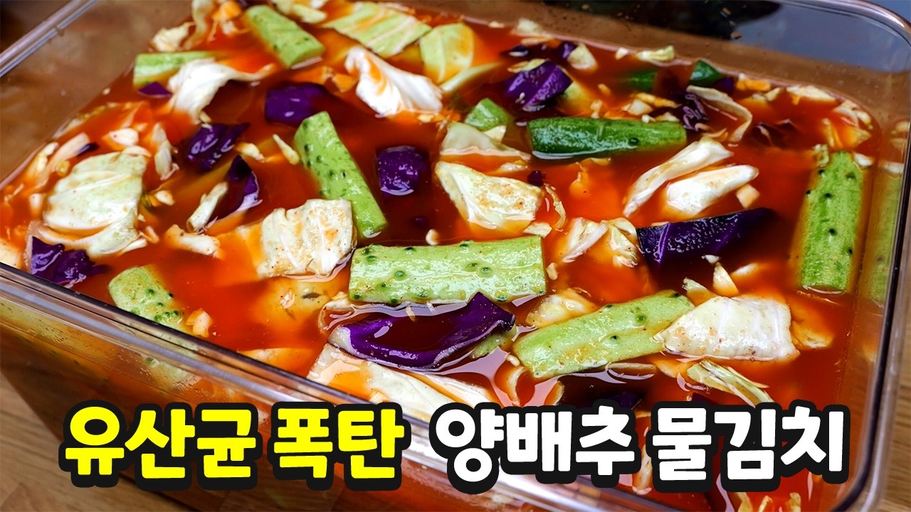 양배추물김치는 천연소화제입니다
