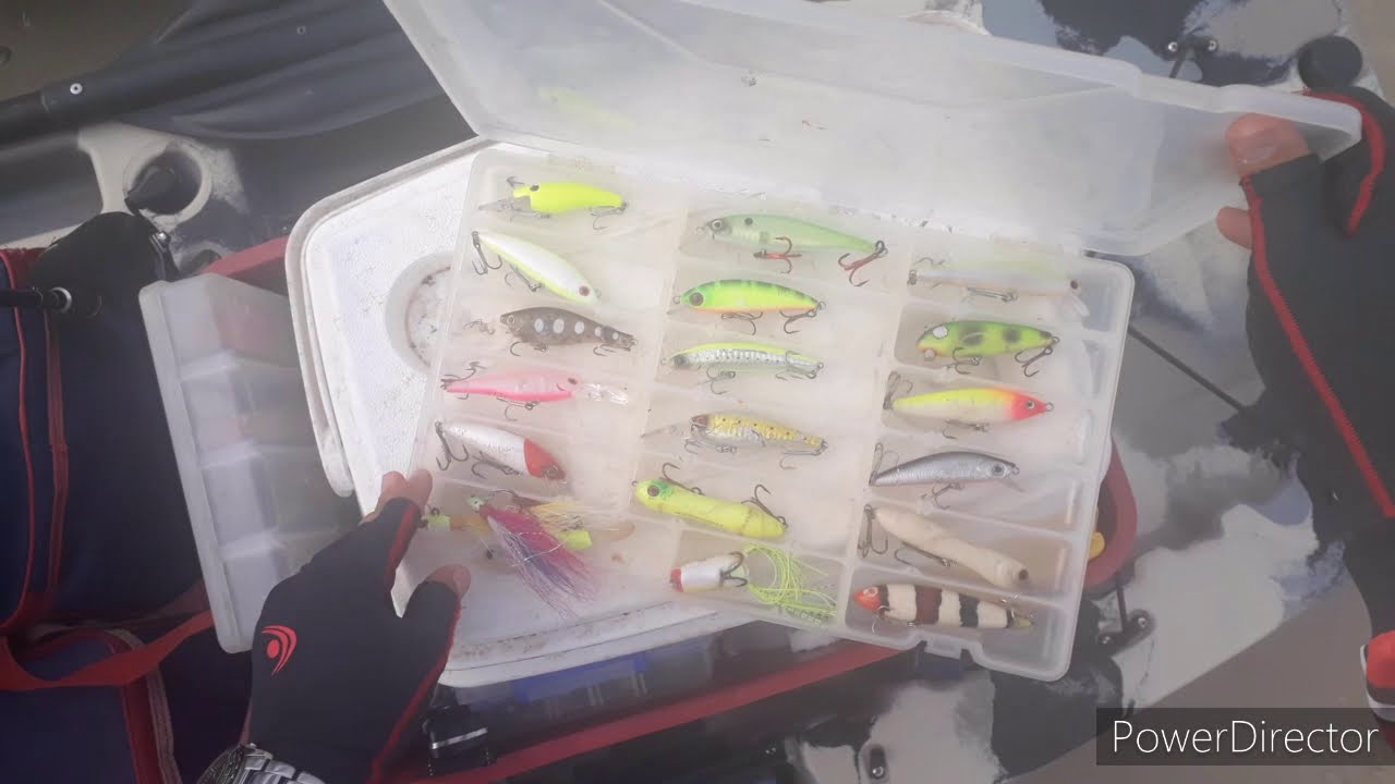 Pesca com plug no mangue