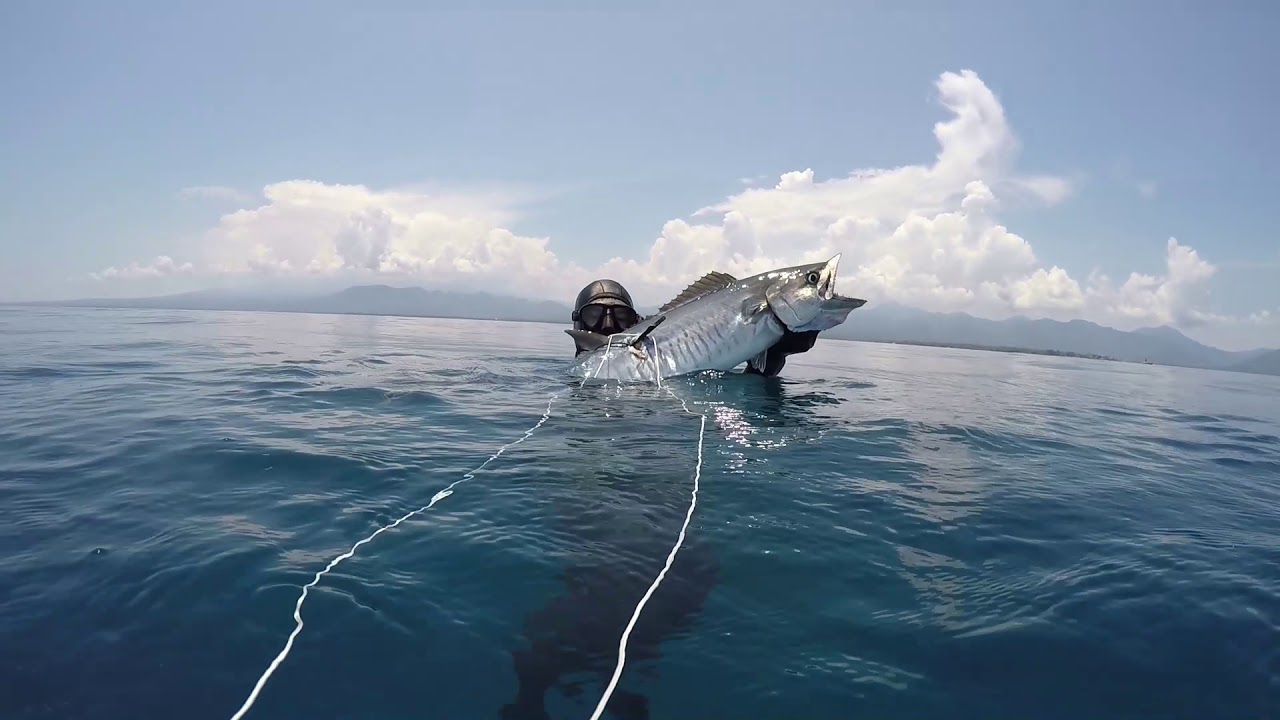 Spearfishing Indonesia 2018 Chasse sous-marine HP700 Deamon Teak