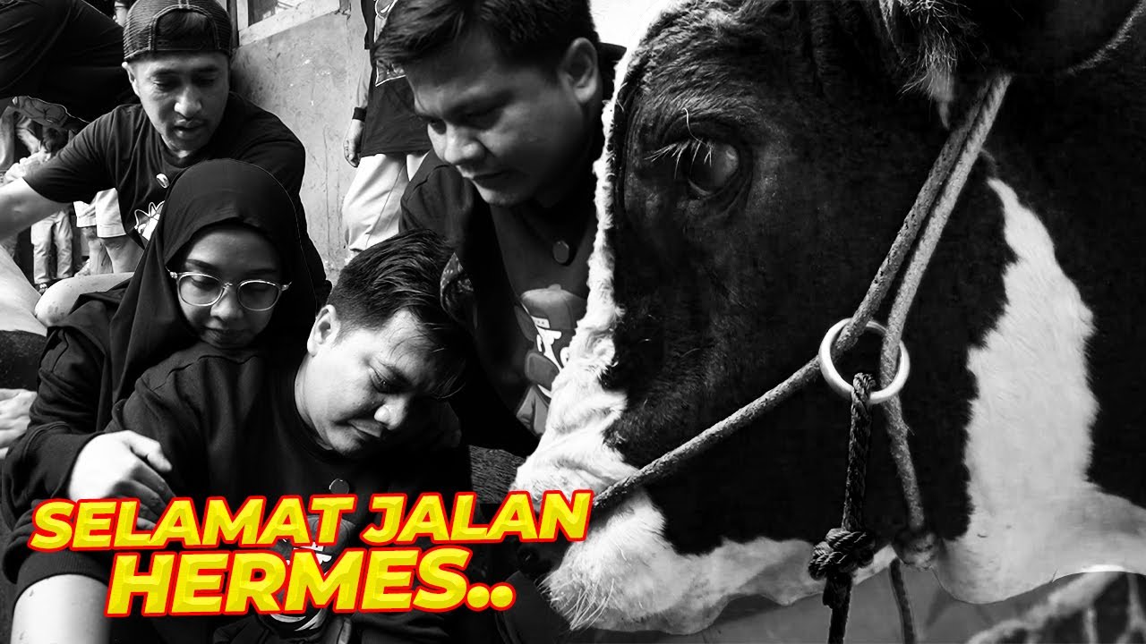 HERMES DAN KAHFI bikin Sonny Septian, Fairuz dan Manager gw menangis !!