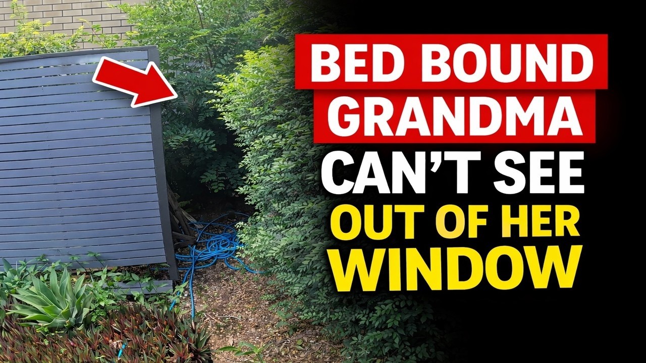 Overgrown Garden Blocking a Bed Bound Grandma’s Window