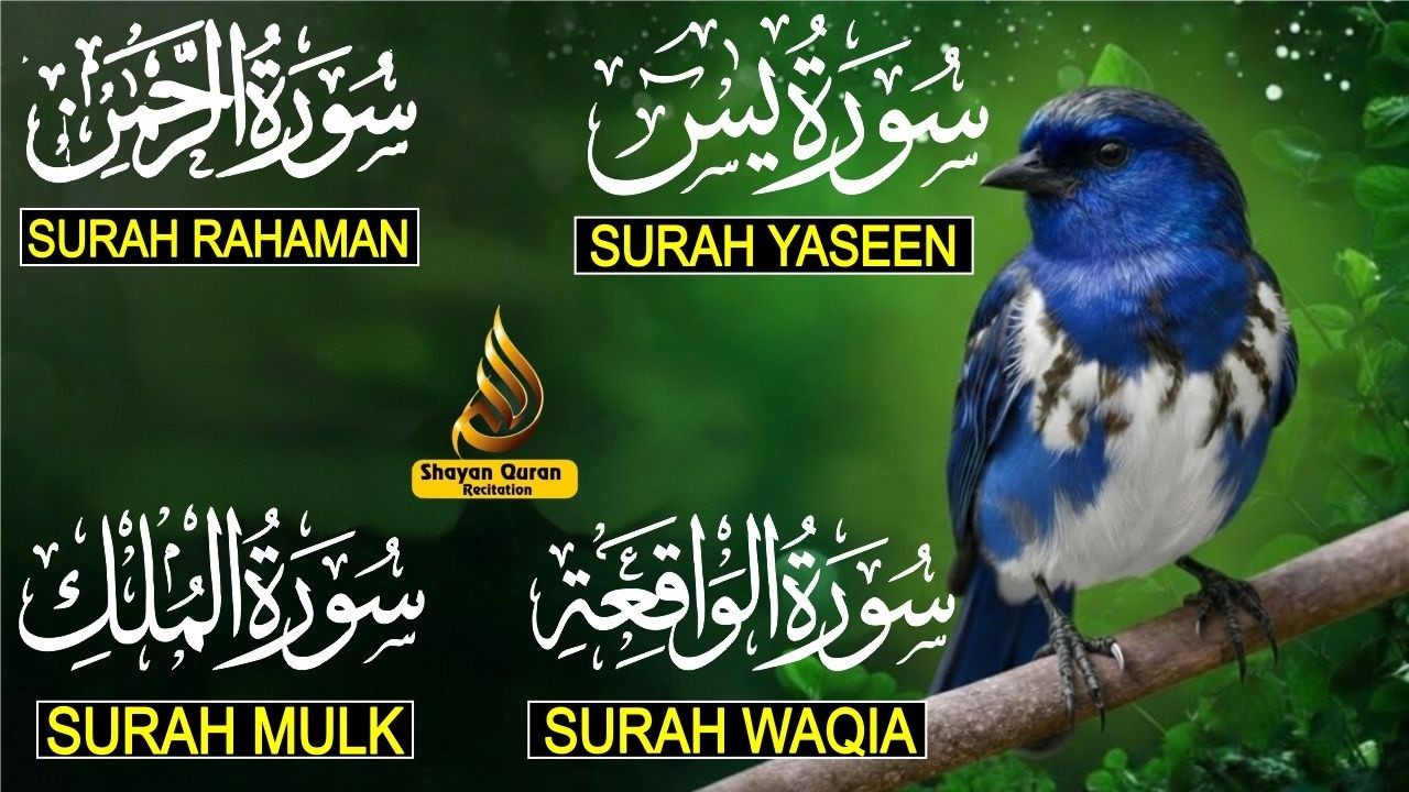 Surah Yaseen Surah Rahman Surah Al Waqia, Al mulk Soothing Quran recitation | murottal alquran merdu