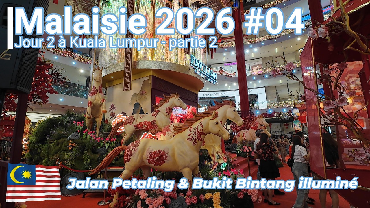 Malaisie Jour 2 - Kuala Lumpur, Jalan Petaling & Bukit Bintang illuminé (Partie 2)