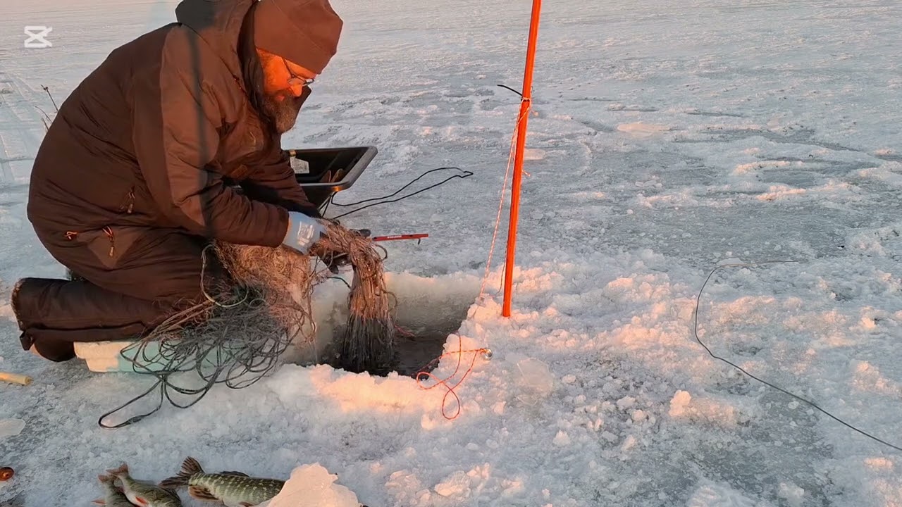 Talviverkoilla. Yllätys kala 13.3 Raahe