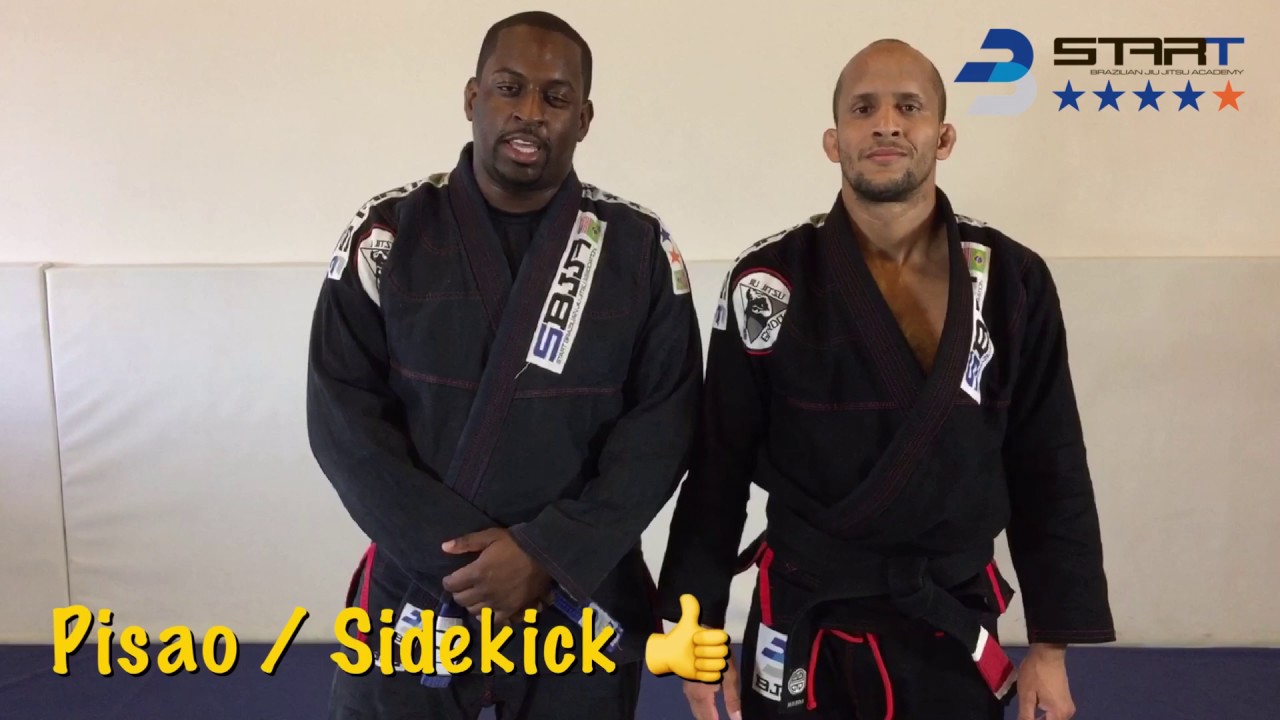 Pisao/Sidekick - KIDS Jiu-Jitsu Techniques