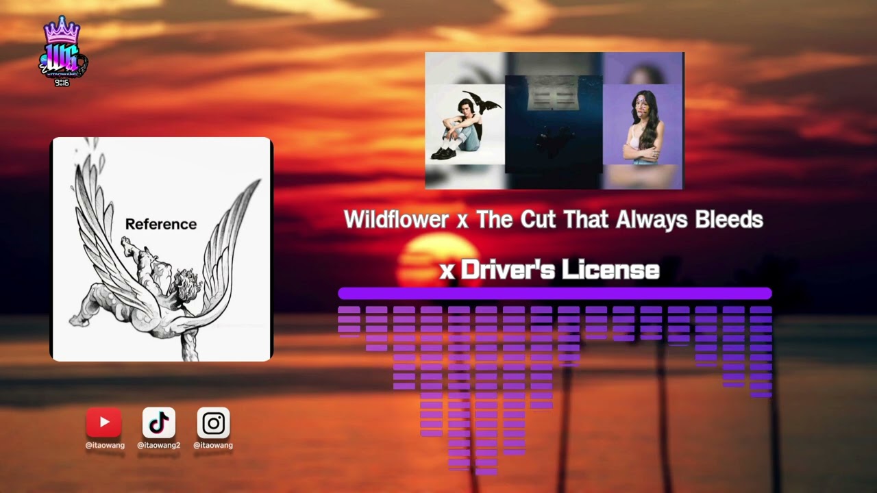Wildflower x The Cut That Always Bleedsx Driver's License 