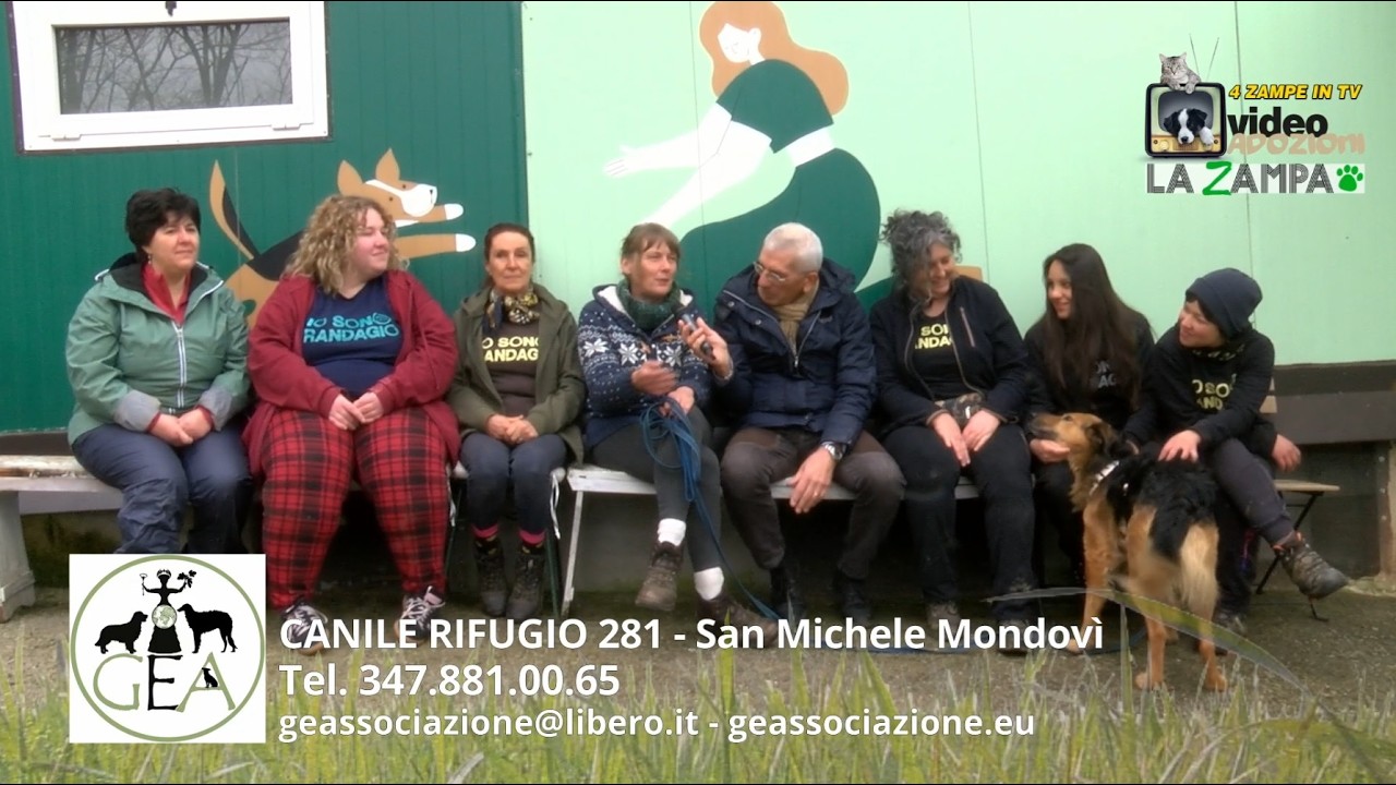CANILE RIFUGIO MONDOVì 281 (20) Puntata 1569