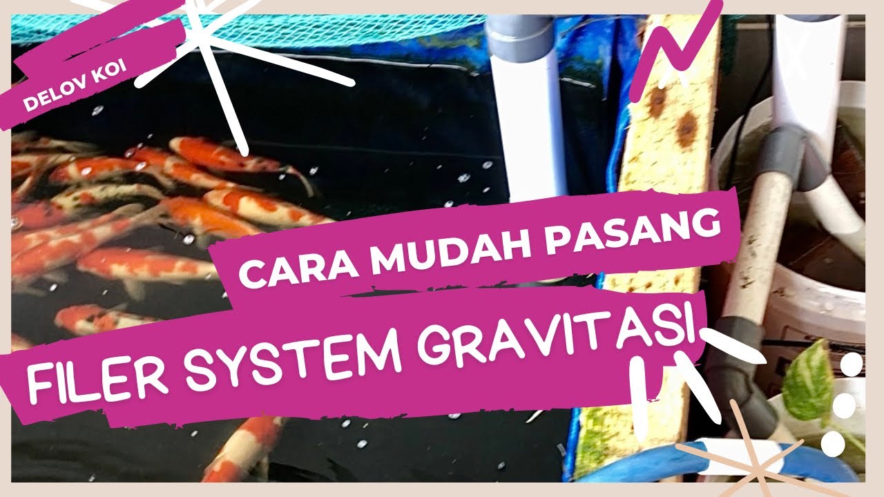 Cara mudah pasang Filter System Gravitasi Kolam Koi #pecintakoi #koifish #koilover #koi #ikankoi