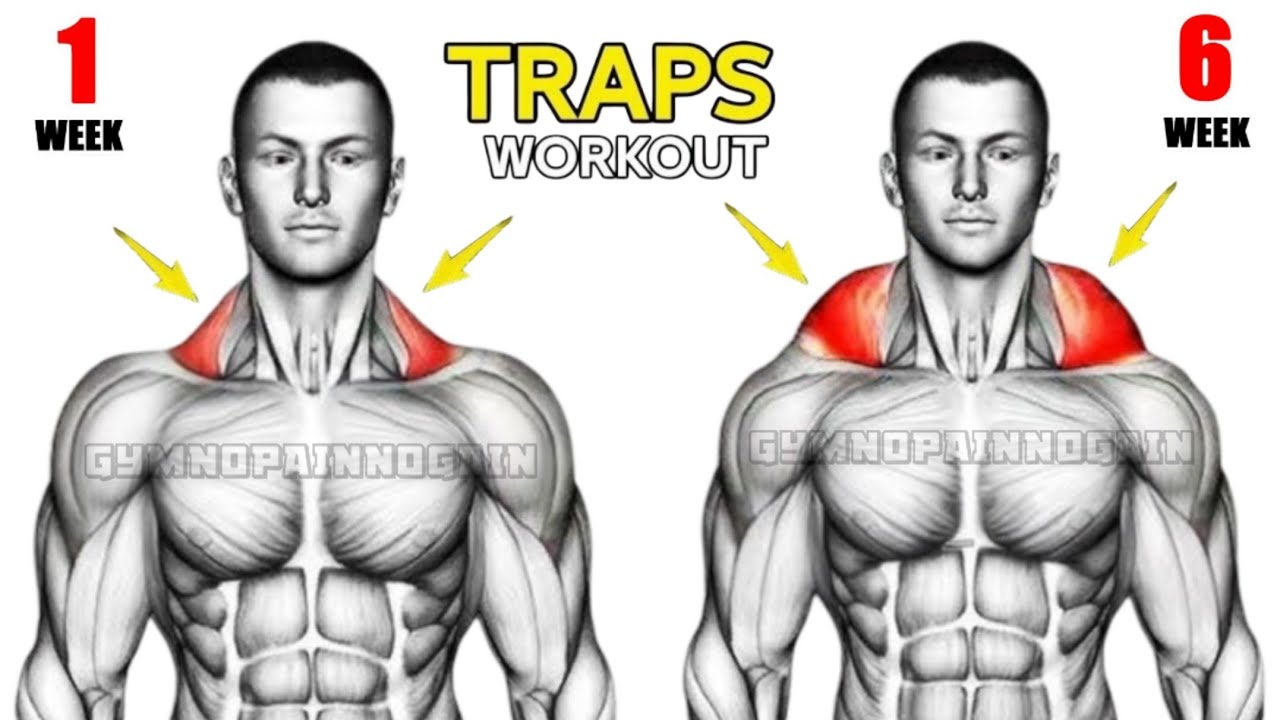 You need these Exercises for HUGE Traps | (Target Traps muscle)🎯