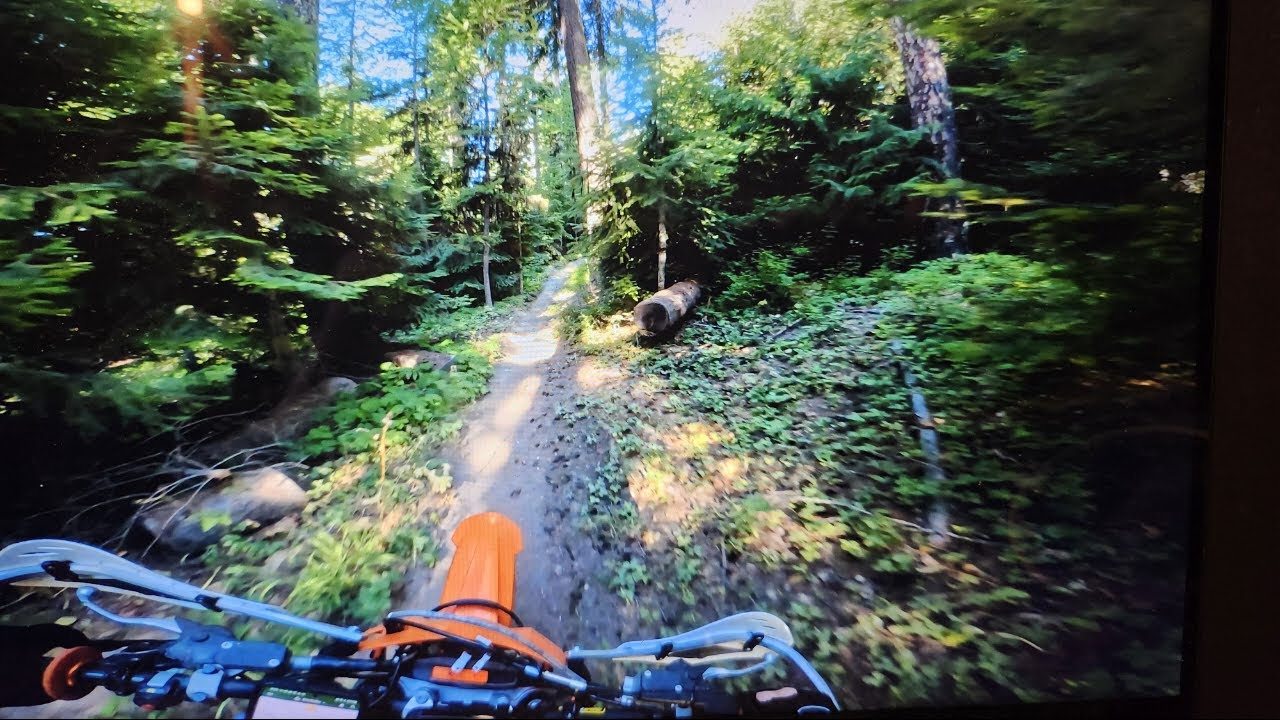 SLICING THROUGH THE WOODS ON A TWO STROKE KTM