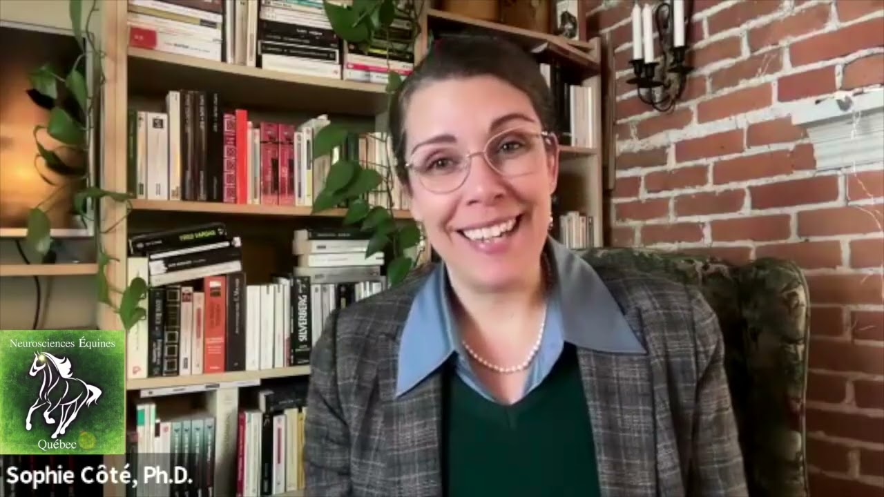 Code de pratique pour le soin et la manipulation des équidés - Octobre 2025