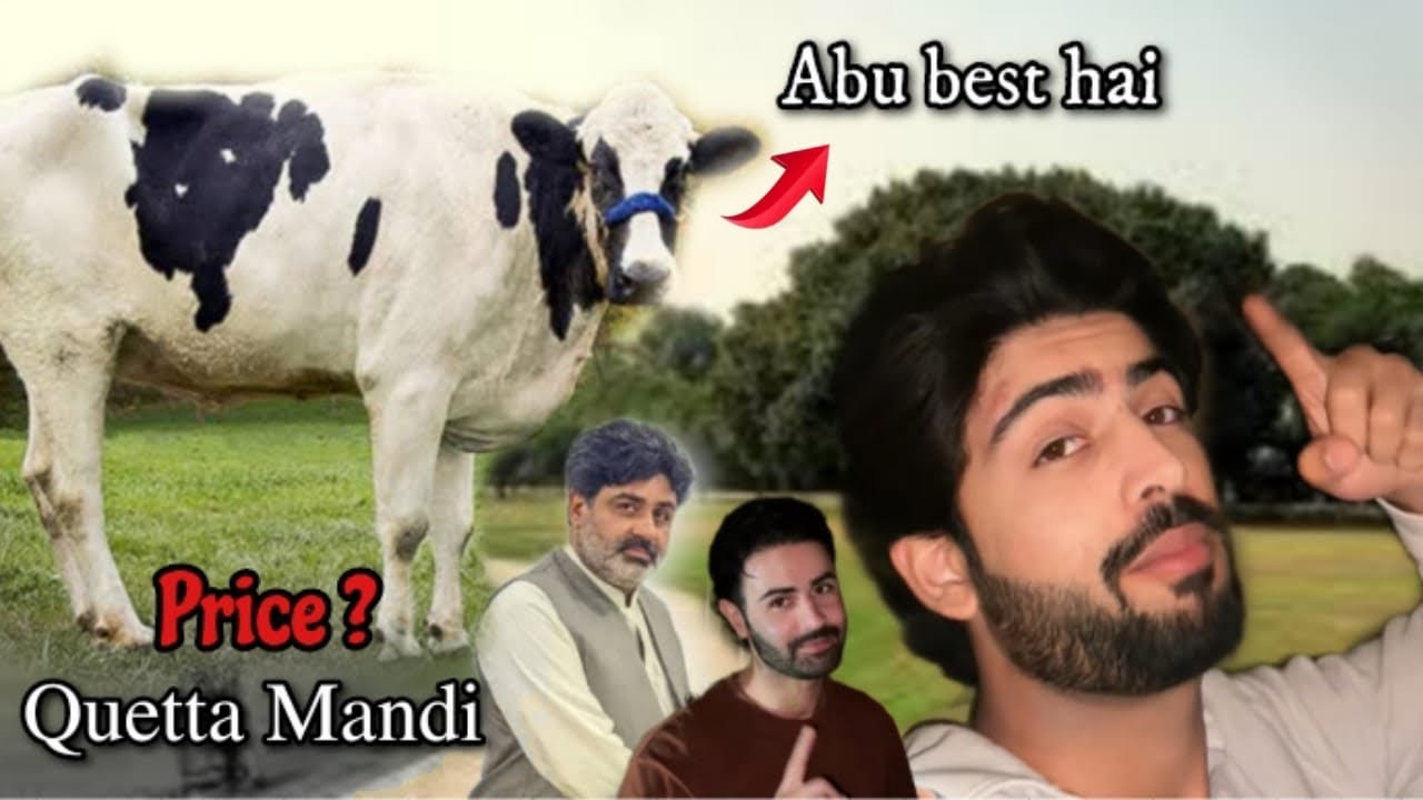 Biggest Mandi in Quetta || Chand Raat