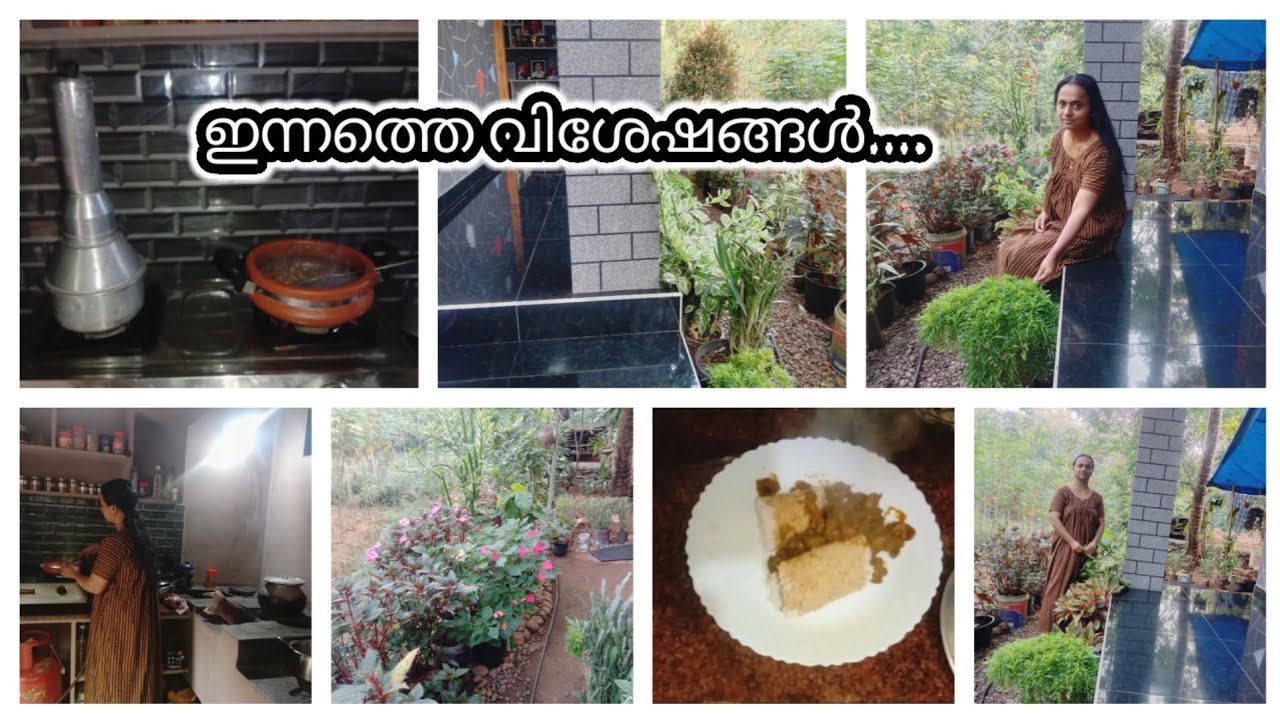 രാവിലെ ഗോതമ്പ് പുട്ടും ചിക്കൻ കറിയും | Village Lifestyle | Nadan Oottupura 