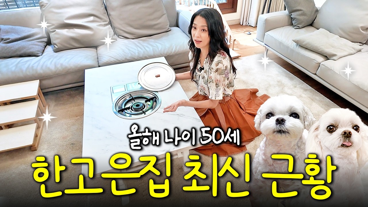 매일 맥주 마시면서 52kg 유지하는 반백살 한고은 근황 (청담동 집, 남편, 30년차 견주의 삶)