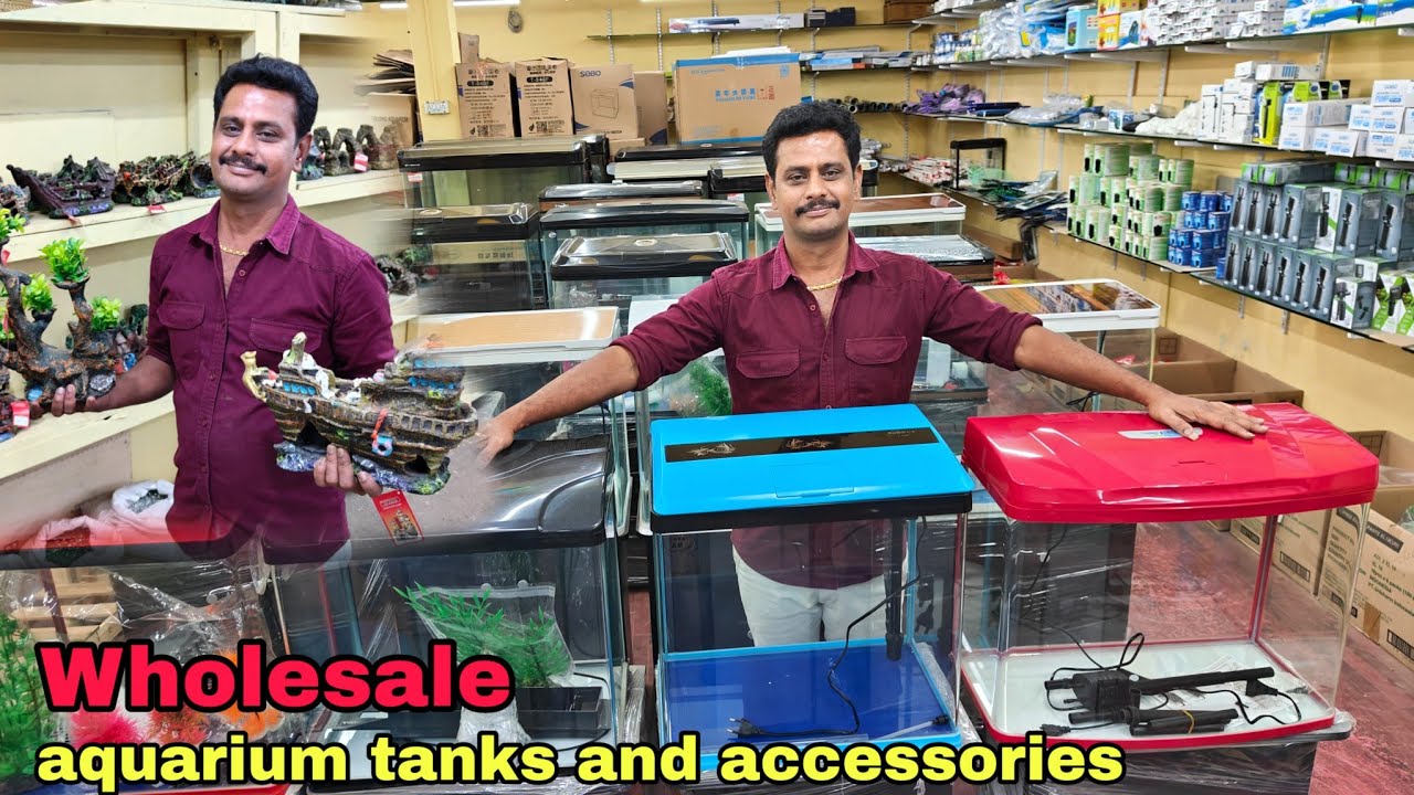 wholesale price for retail | imported aquarium tanks and accessories with price | kolathur | தமிழ்