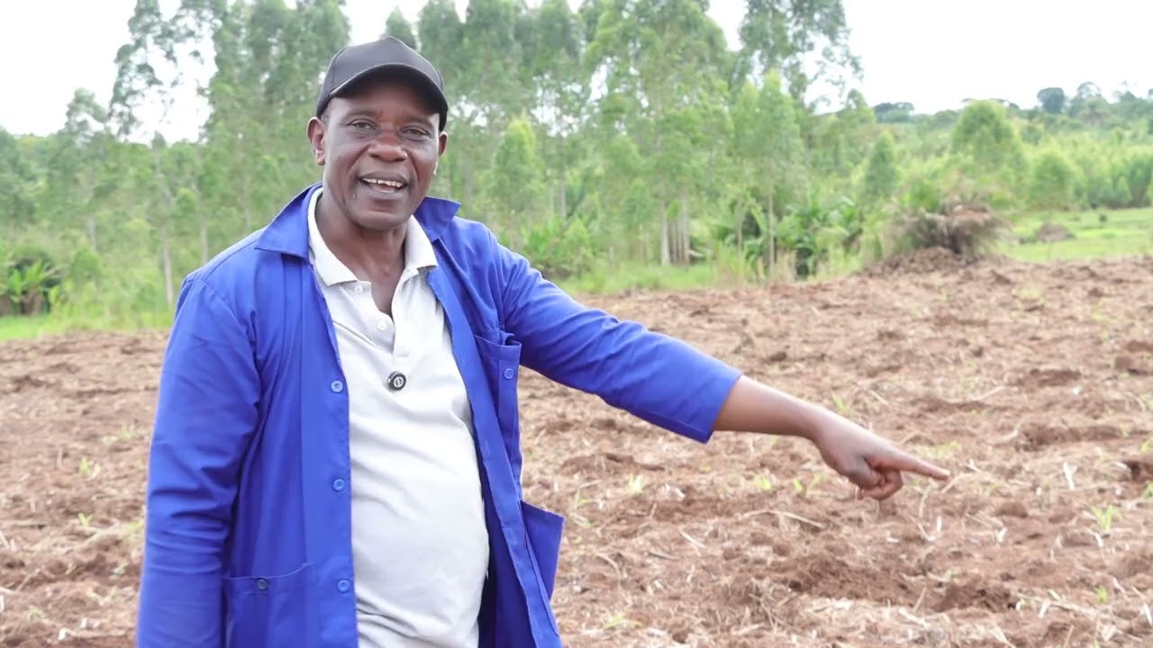 Agriculture as a business