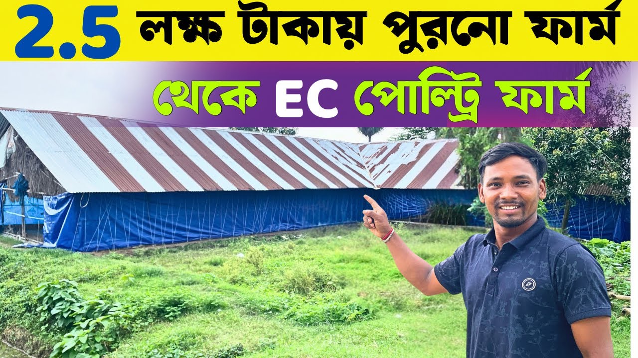 2.5 লক্ষ টাকায় তৈরি করছেন সেমি EC পোল্ট্রি ফার্ম | Ec Poultry Farm