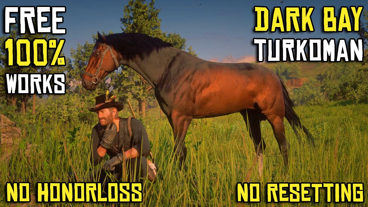 Dark Bay Turkoman Early in Chapter 3 – Free & Easy Method | Braithwaite Manor horses 