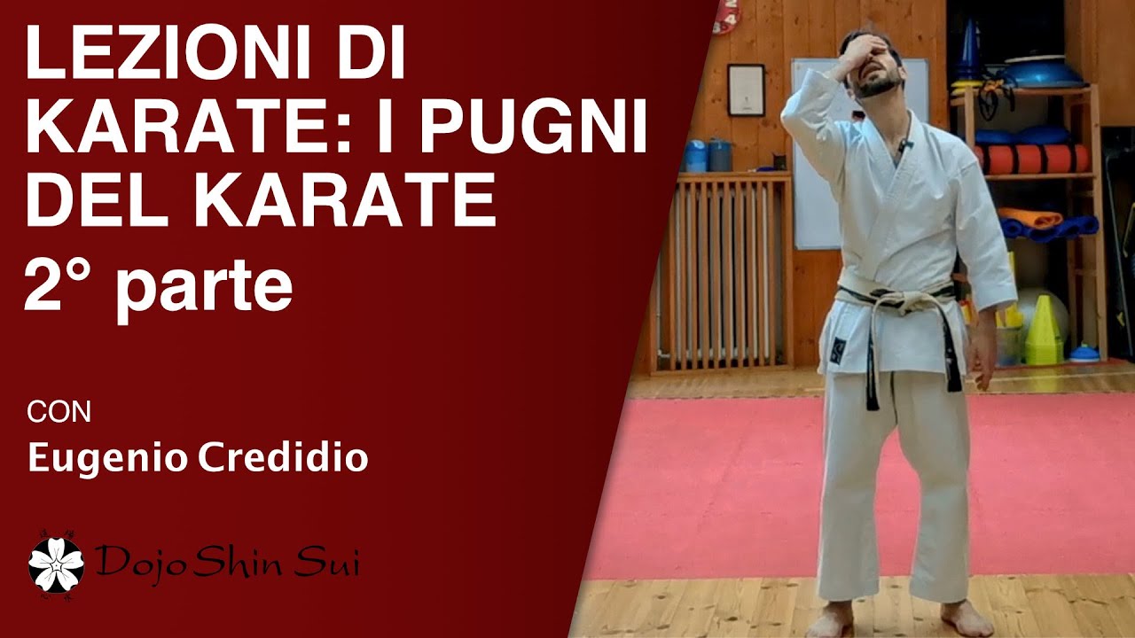 Lezioni di karate: i pugni del karate 2° parte