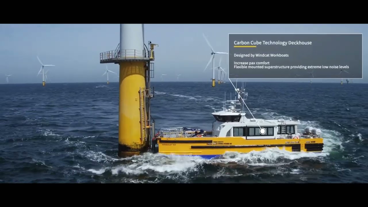 20 years Windcat 🎥 Episode 11
